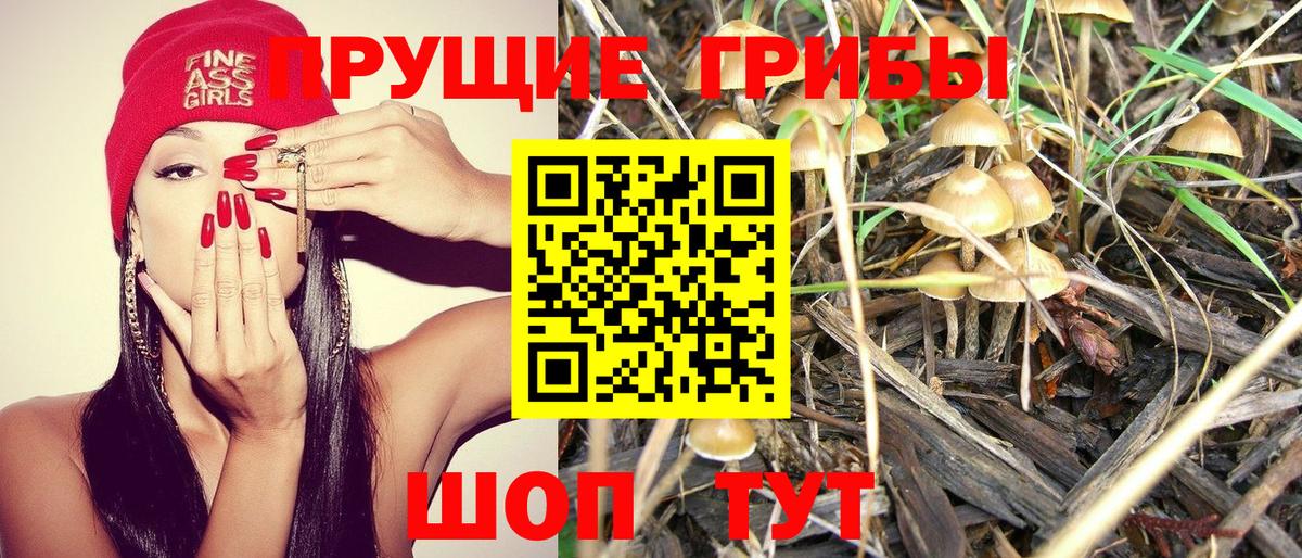 МЕФ   ГАШ  МДМА  МЕТАДОН  Экстази  Конаково  Кокаин  Вход с VPN  NBOMe 