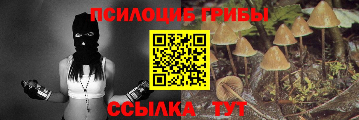Галлюциногенные грибы Magic Shrooms Конаково